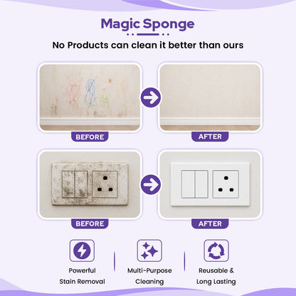 Magic Sponge (6p)